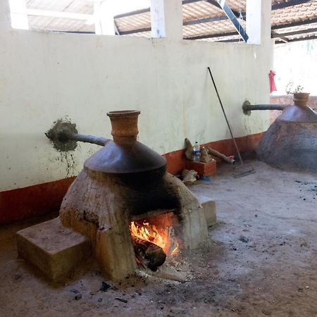 Mangaal Farmstay Goa Vichondrem Esterno foto