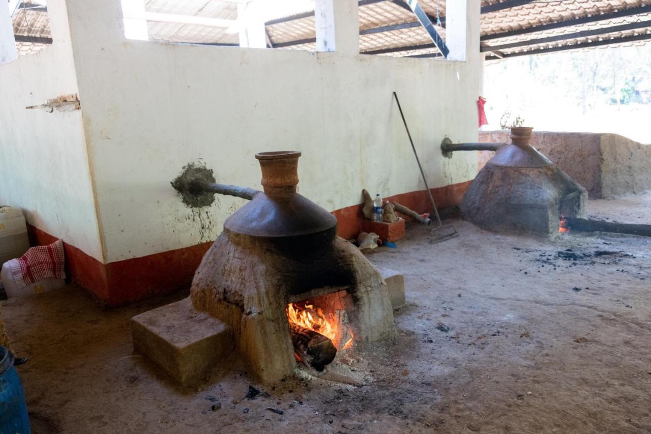 Mangaal Farmstay Goa Vichondrem Esterno foto