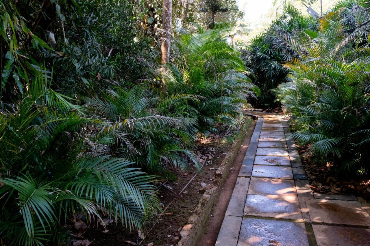 Mangaal Farmstay Goa Vichondrem Esterno foto