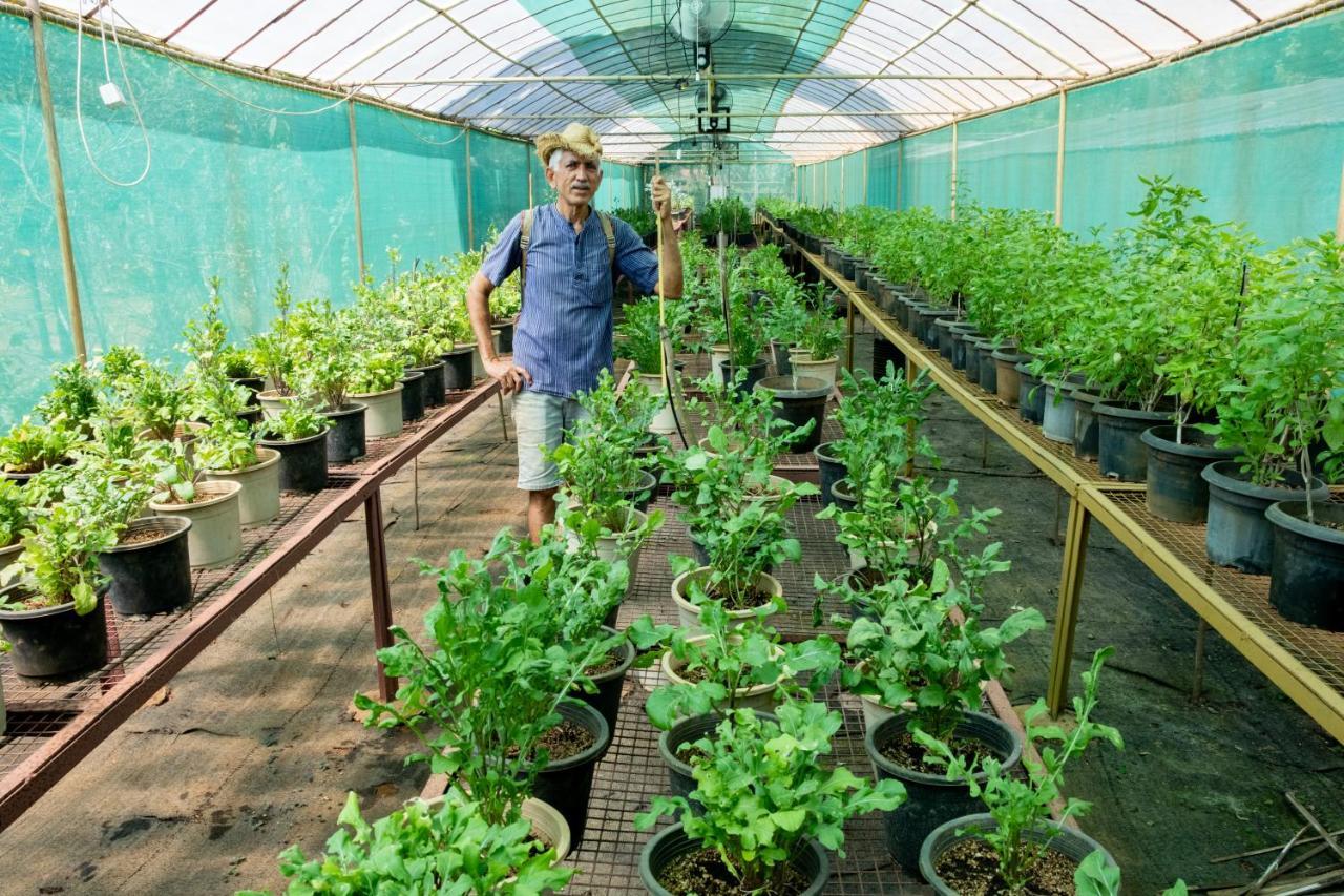 Mangaal Farmstay Goa Vichondrem Esterno foto