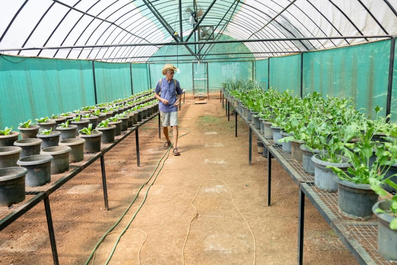 Mangaal Farmstay Goa Vichondrem Esterno foto