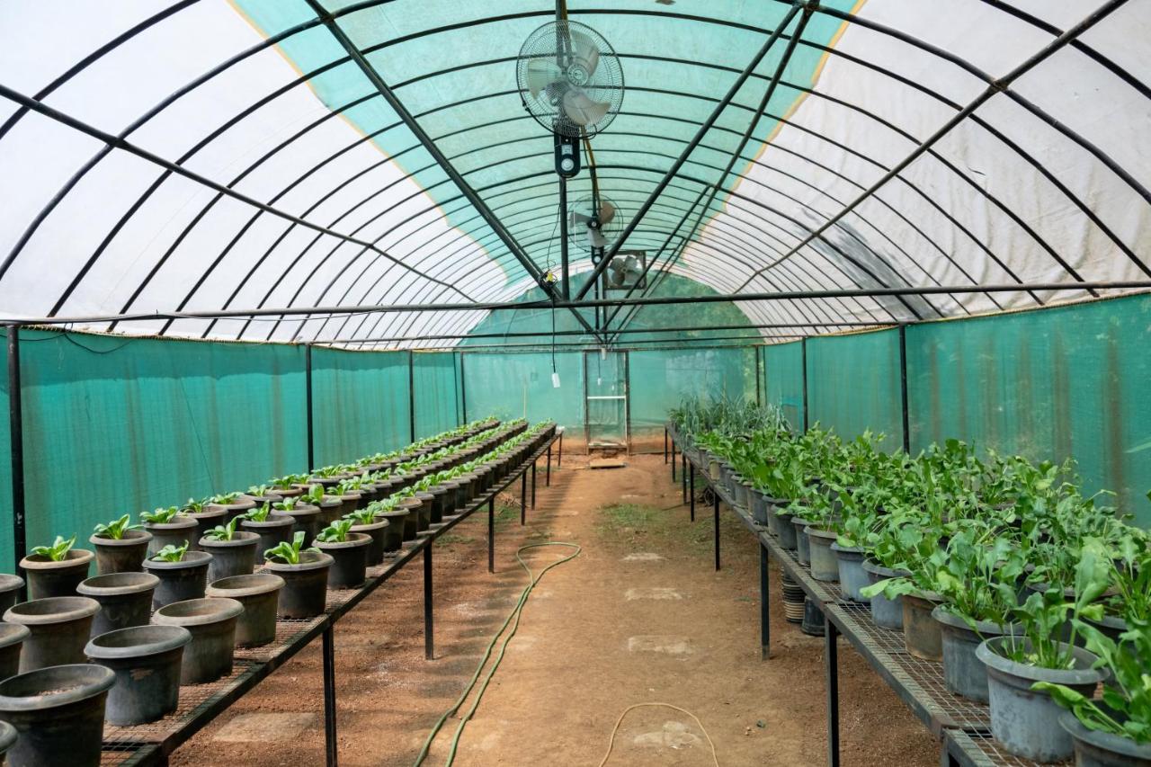 Mangaal Farmstay Goa Vichondrem Esterno foto