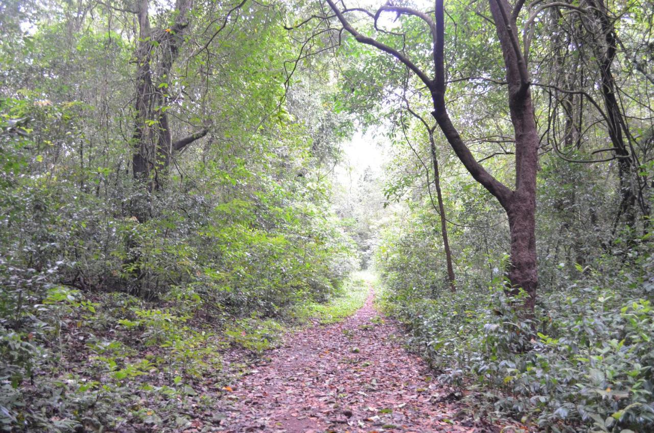 Mangaal Farmstay Goa Vichondrem Esterno foto