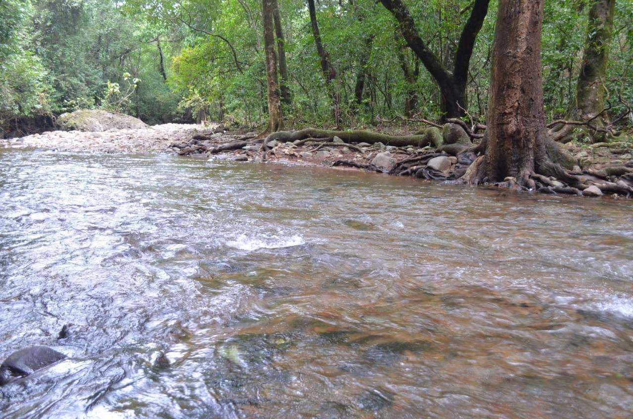 Mangaal Farmstay Goa Vichondrem Esterno foto